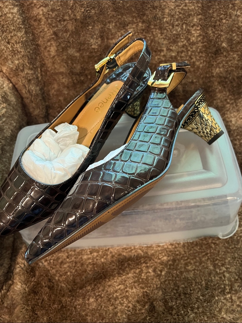 J.Renee Dark Brown Croc-Embossed Slingback Mules with Gold Buckle